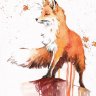 SunFox