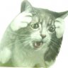 sqrl