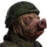 Calym