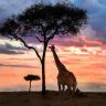 AFRICAtop