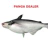 PANGA DEALER