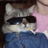 Highz