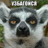 Divaker