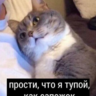 PSINA