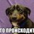 Нажигай-напаливай