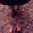 Hadly36