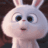 Rabid Rabbit