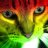 catafalQ