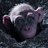 badAPE