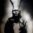funnyrabbit