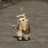 Ratsy