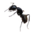 fytxrf20821